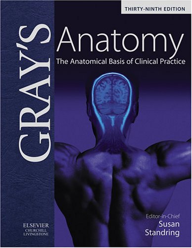 Grays Anatomy The Anatomical Basis Of Clinical Practice 39th Edition 39th Edition Susan Standring