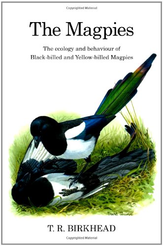 The Magpies The Ecology And Behaviour Of Blackbilled And Yellowbilled Magpies Tim Birkhead