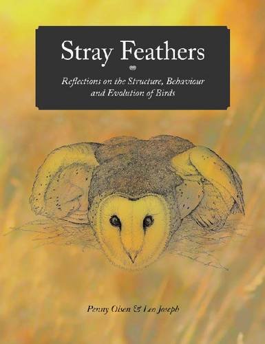 Stray Feathers Reflections On The Structure Behaviour And Evolution Of Birds Penny Olsen