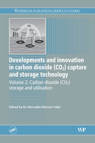 Developments And Innovation In Carbon Dioxide Co2 Capture And Storage Technology Volume 2 Carbon Dioxide Co2 Storage And Utilisation Woodhead Publishing Series In Energy Mmercedes Marotovaler