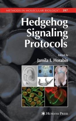 Hedgehog Signaling Protocols Methods In Molecular Biology Vol 397 1st Edition Jamila I Horabin