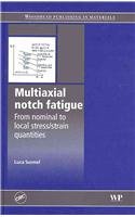 Multiaxial Notch Fatigue 1st Edition L Susmel