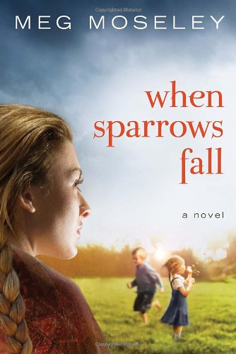 When Sparrows Fall Meg Moseley