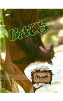 Bats Cindy Rodriguez