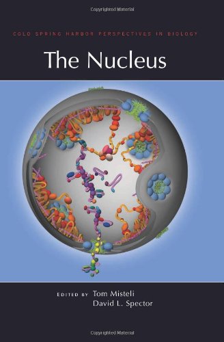 The Nucleus 1st Edition David L Spector Tom Misteli Editors