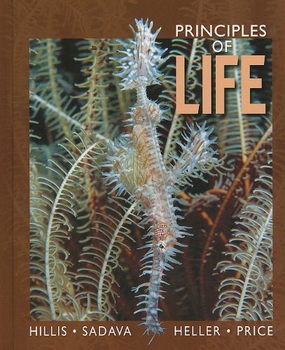 Principles Of Life First Edition David M Hillis H Craig Heller