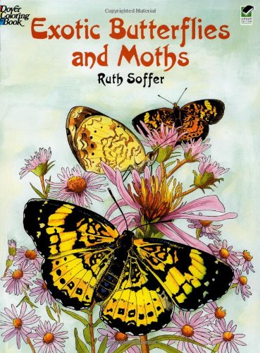 Exotic Butterflies And Moths Dover Pictorial Archives Ruth Soffer