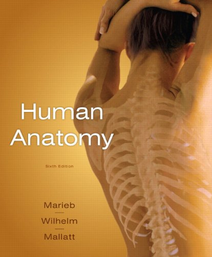 Human Anatomy 6th Edition 6th Edition Elaine Nicpon Marieb Patricia Brady Wilhelm