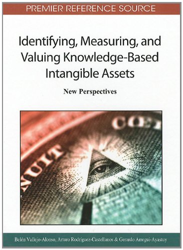 Identifying Measuring And Valuing Knowledgebased Intangible Assets New Perspectives Premier Reference Source 1st Edition Belen Vallejoalonso