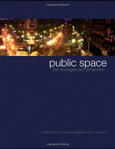 Public Space The Management Dimension 1st Edition Matthew Carmona