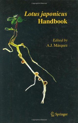 Lotus Japonicus Handbook 1st Edition J Stougaard M Udvardi