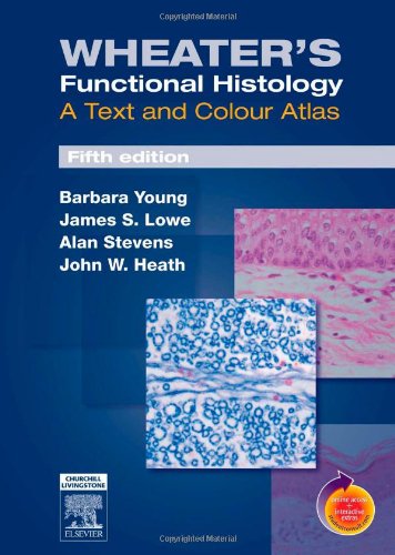 Wheaters Functional Histology A Text And Colour Atlas 5th Edition 5th Edition Barbara Young