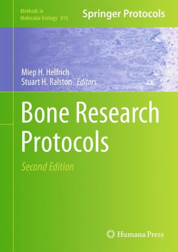 Bone Research Protocols Methods In Molecular Biology V816 2nd Ed 2nd Miep H Helfrich