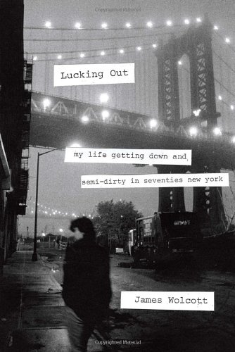 Lucking Out My Life Getting Down And Semidirty In Seventies New York James Wolcott