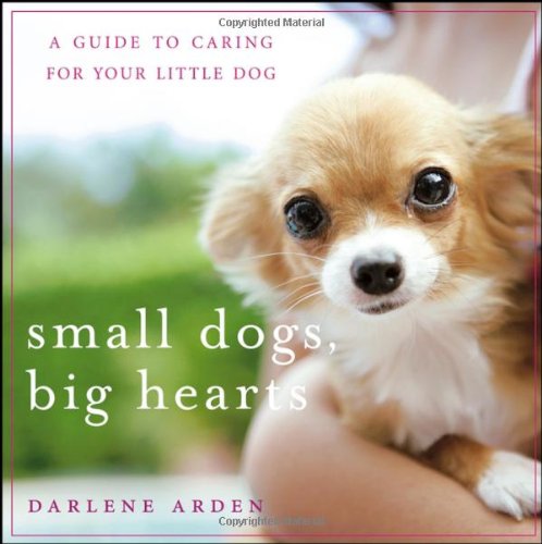 Small Dogs Big Hearts 2nd Darlene Arden