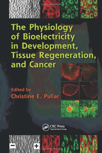 The Physiology Of Bioelectricity In Development Tissue Regeneration And Cancer Biological Effects Of Electromagnetics Series 1st Edition Christine E Pullar