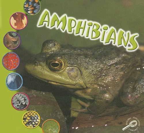 Amphibians Ted Ohare