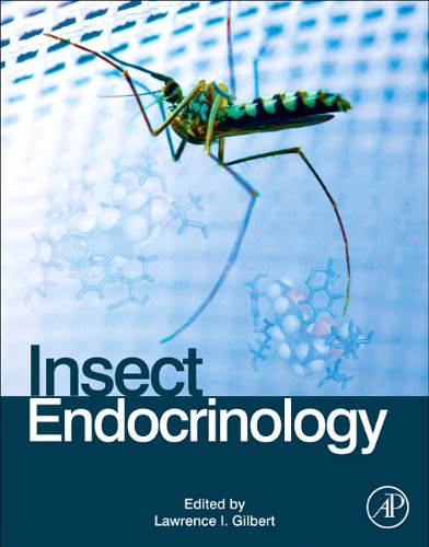 Insect Endocrinology 1st Edition Lawrence I Gilbert