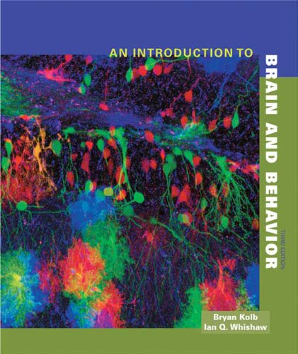 An Introduction To Brain And Behavior Third Edition 3rd Bryan Kolb