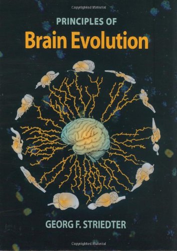 Principles Of Brain Evolution 1st Edition Georg F Striedter