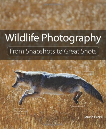 Wildlife Photography From Snapshots To Great Shots 1st Edition Laurie Excell