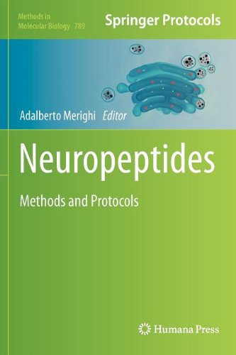 Neuropeptides Methods And Protocols Methods In Molecular Biology V789 2011th Edition Adalberto Merighi