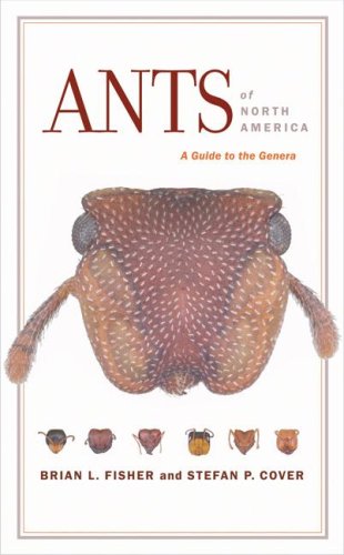 Ants Of North America A Guide To The Genera 1st Edition Brian L Fisher