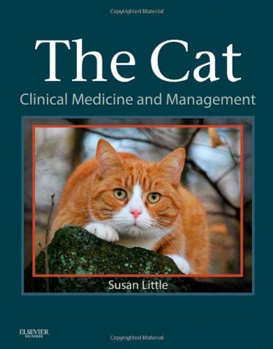 The Cat Clinical Medicine And Management 1st Edition Susan Little Dvm Dabvp Feline