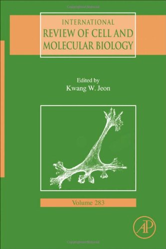 International Review Of Cell And Molecular Biology 283 1st Edition Kwang Jeon Eds