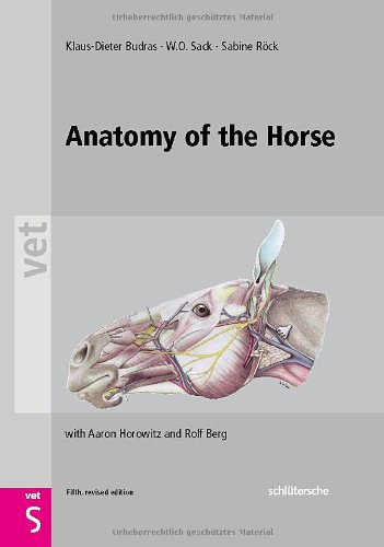 Anatomy Of The Horse Vet Schlutersche 5th Revised Edition Klaus Dieter Budras