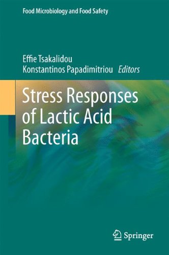 Stress Responses Of Lactic Acid Bacteria 1st Edition Charles M A P Franz