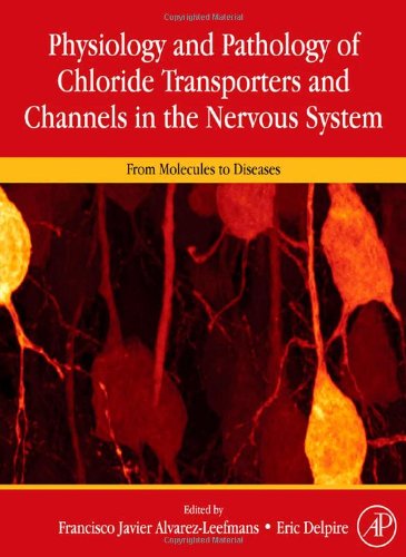 Physiology And Pathology Of Chloride Transporters And Channels In The Nervous System From Molecules To Diseases 1st Edition F Javier Alvarezleefmans
