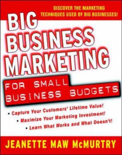 Big Business Marketing For Small Business Budgets 1st Edition Jeanette Maw Mcmurtry