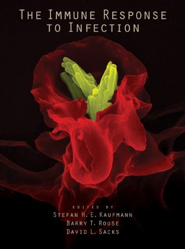 The Immune Response To Infection 1st Edition Stefan H E Kaufmann