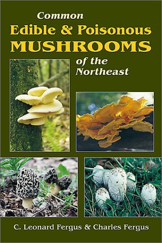 Common Edible Poisonous Mushrooms Of The Northeast 1st C Fergus