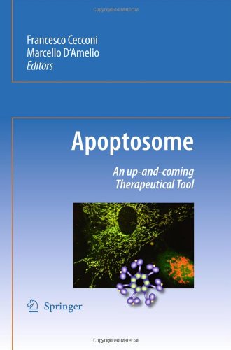 Apoptosome An Upandcoming Therapeutical Tool 1st Edition Virve Cavallucci