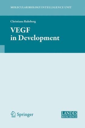 Vegf In Development Molecular Biology Intelligence Unit 1st Edition Christiana Ruhrberg
