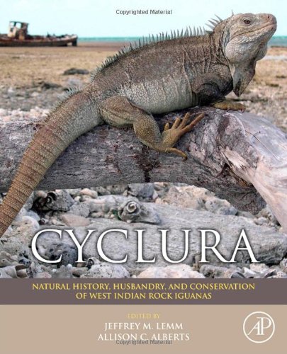Cyclura Natural History Husbandry And Conservation Of West Indian Rock Iguanas 1st Edition Jeffrey Lemm