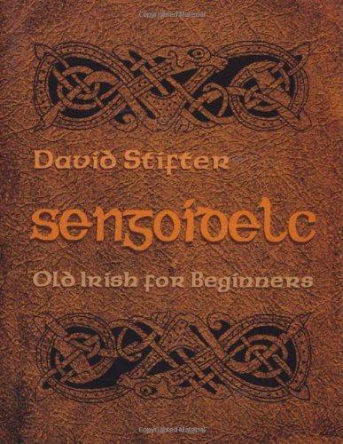 Sengoidelc Old Irish For Beginners Irish Studies Bilingual David Stifter