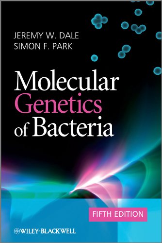 Molecular Genetics Of Bacteria Fifth Edition Fifth Jeremy W Dale