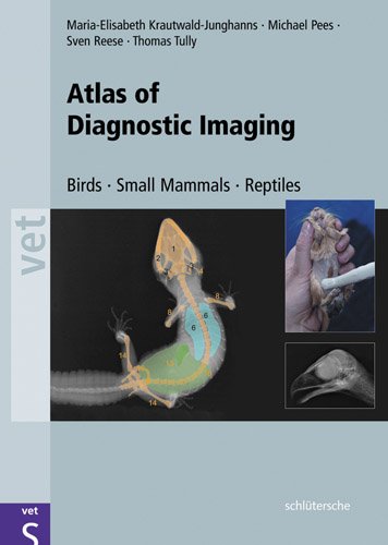 Diagnostic Imaging Of Exotic Pets Birds Small Mammals Reptiles Vet S 1 Reprint Mariaelisabeth Krautwaldjunghanns