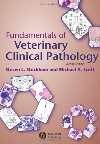 Fundamentals Of Veterinary Clinical Pathology 2nd Edition 2nd Edition Steven L Stockham