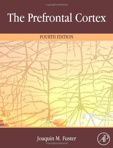 The Prefrontal Cortex Fourth Edition 4th Joaquin Fuster