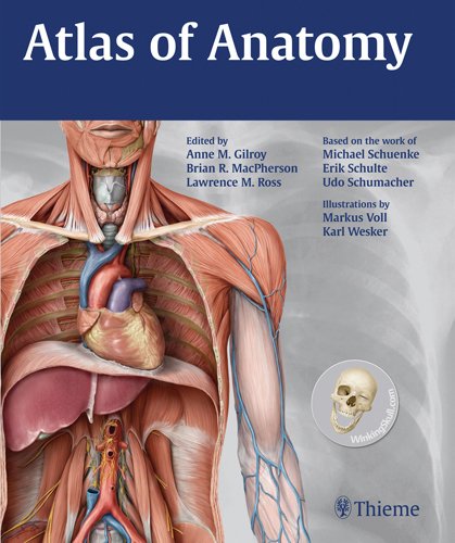 Atlas Of Anatomy Thieme Anatomy 1st Edition Anne M Gilroy