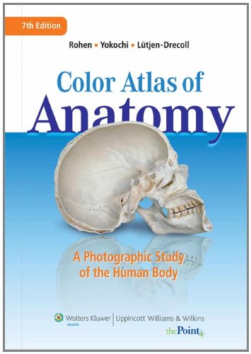 Color Atlas Of Anatomy A Photographic Study Of The Human Body 7th Edition 7th Edition Johannes W Rohen
