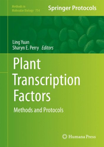 Plant Transcription Factors Methods And Protocols 1st Edition Rainer Melzer