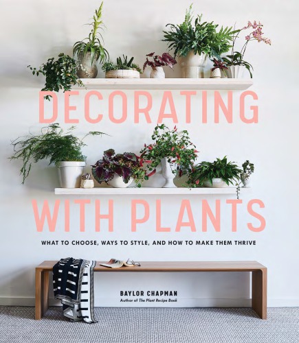 Decorating With Plants What To Choose Ways To Style And How To Make Them Thrive Chapman