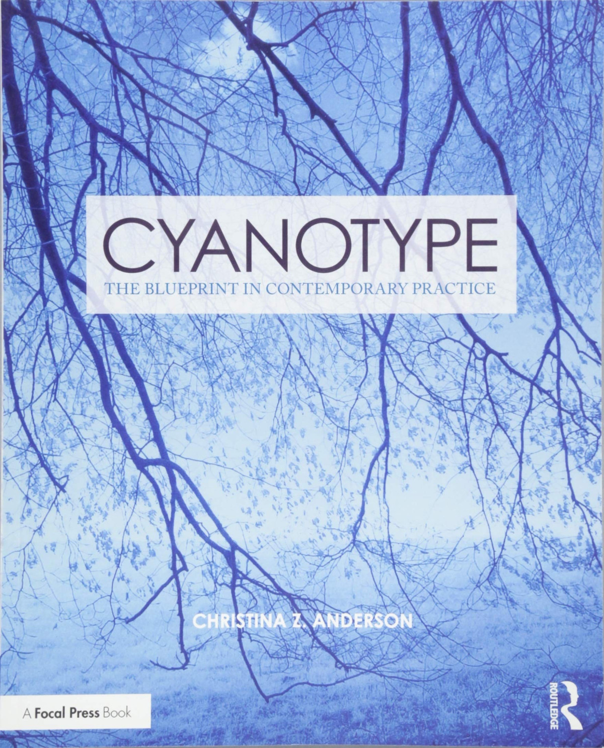 Cyanotype The Blueprint In Contemporary Practice Christina Z Anderson