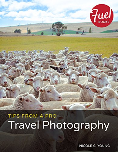 Tips From A Pro Travel Photography 1st Edition Nicole S Young