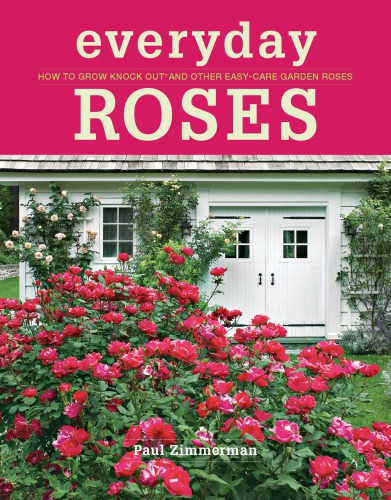 Everyday Roses How To Grow Knock Outreg And Other Easycare Garden Roses Zimmerman